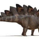 스테고사우루스-1 이미지