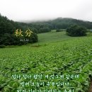 센티미터 이미지