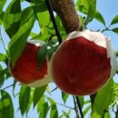 (주)에코아이엠 이미지