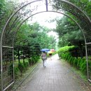 성호로공원 이미지