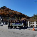 도포원예정보화마을 이미지