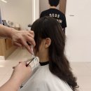 홍산빌딩 | 전주 신시가지미용실 추천 모즈토리 전주 신시가지점 후기