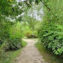 바람꽃작은도서관 이미지