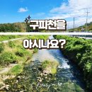 부발역사거리~죽당천삼거리 | 이천 죽당천 구피천에 다녀온 후기(위치,주차)