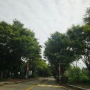 갈대습지공원 | 경기도 서울근교 가을여행지 안산갈대습지 공원