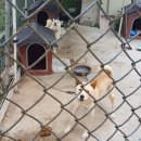 우림양봉산업 이미지