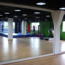 스타일복싱 이미지