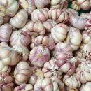 성실축산 이미지