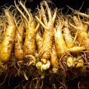 국립원예특작과학원 인삼특작부