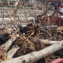 옥이네농장 이미지