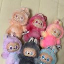 시크릿호프 이미지