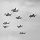 국제무도장 이미지