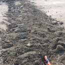 솔골농장 이미지