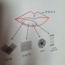 청화메디칼