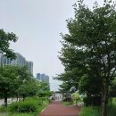 상일로 이미지