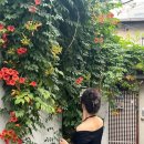 오하이오(ohio) 이미지