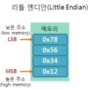 리틀바이트 이미지