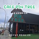 포항 송도해변 카페 PIN TREE :: 핀 트리