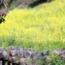 색달동-15 이미지