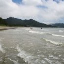 관매도해수욕장 이미지