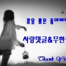 진전면837 이미지