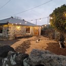 제주서쪽감성숙소 제주애물들다 이미지