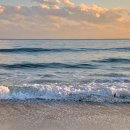 영미니네 이미지