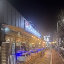 황금손 유쾌한 회 세꼬시 | 광주횟집 용봉동 황금회포차 대방어 후기