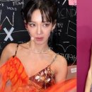 다이어트코리아 이미지