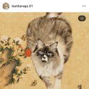 부귀영화와 한국민화 이미지