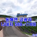 포항시남구동해면금광보건진료소 | 포항 동해면 금광리 나대지 559㎡(169) 매매(1억1천)