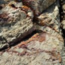 충무사랑병원 이미지