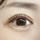 다뷰래쉬 이미지