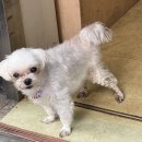 영세탁소 이미지