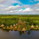 에콰도르 야수니 국립공원 Yasuní National Park in Amazonian Ecuador 이미지