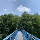 느티골길 이미지