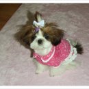 공주동물병원 이미지