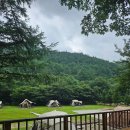 평창 운교리 밤나무 | 캠핑계의 에르메스, 평창 휘게포레스트 다녀온 후기 🏕️
