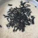맛손칼국수 | 돌고돌아 결국 허리디스크 시술 받은 나