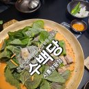 서해그린스포렉스 | 정왕맛집 새로운 강자 수백당 시흥정왕점