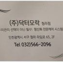 닥터모락 청라점