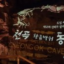 천곡황금박쥐동굴 이미지
