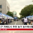 구청 광장 이미지