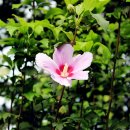 이얼싼중국어학원 이미지