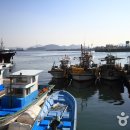 동호선착장 이미지