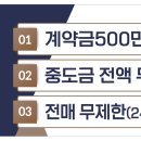디이스트 이미지