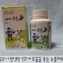 백오푸드 | [유아영양제] 면역력 강화에 도움을 주는 초유함유 비타민 " 노블레스콜로 510 " 오푸드F&D