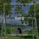 캠핑초보 이미지