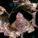 병세농장 이미지