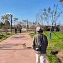 사랑 DOG 차지 | 미사 마실 02_오늘은 만세의 날! 미사아일랜드 펫존에서 뛰어~! (ft. 잭러셀 테리어)